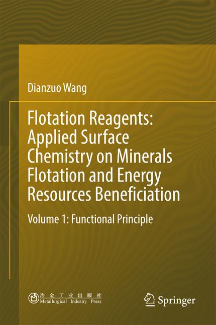 ISBN 9789811020308 product image for Flotation Reagents: Applied Surface Chemistry on Minerals Flotation and Energy R | upcitemdb.com
