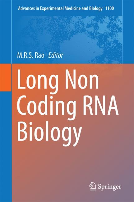 Long Non Coding Rna… - image
