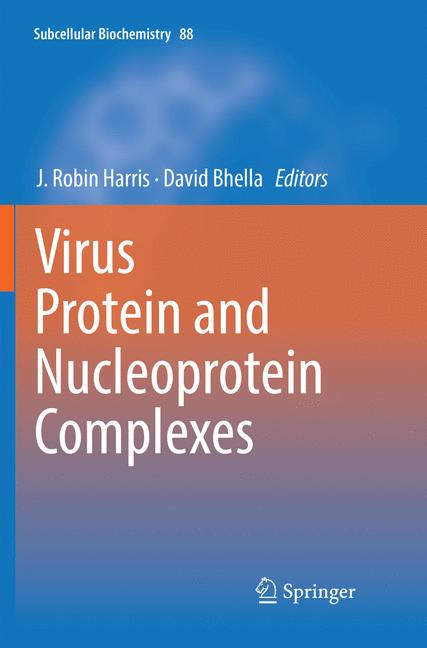 Virus Protein And N… - image