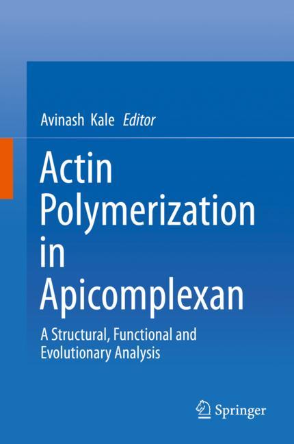 Actin Polymerizatio…