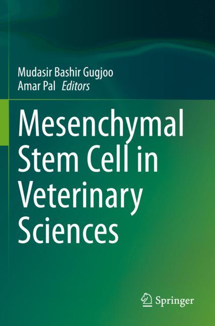 Mesenchymal Stem Ce…