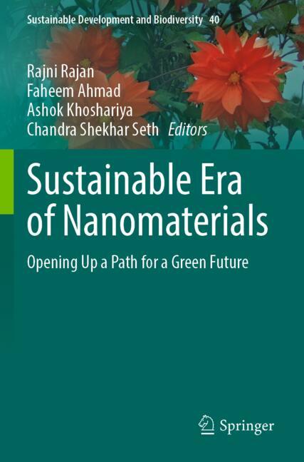Sustainable Era of Nanomaterials-image-978-981-96-4473-5