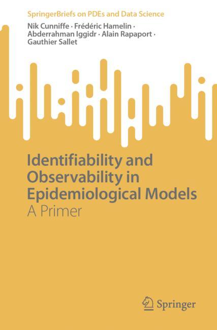 Identifiability and Observability in Epidemiological Models-image-978-981-97-2539-7