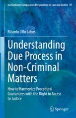 Front cover of Understanding Due Process in Non-Criminal Matters