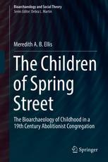 Front cover of The Children of Spring Street