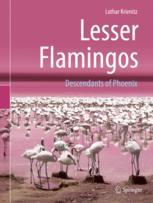 Front cover of Lesser Flamingos