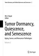 Front cover of Tumor Dormancy, Quiescence, and Senescence, Volume 2