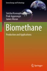 Front cover of Biomethane