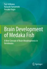 Front cover of Brain Development of Medaka Fish