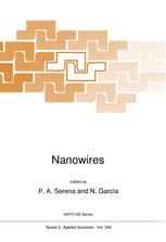 Nanowires - P.A. Serena; N. GarcÃ­a