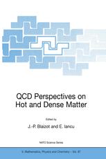 QCD Perspectives on Hot and Dense Matter - Jean-Paul Blaizot; Edmond Iancu