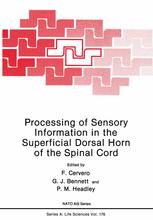 Processing Of Sensory Information In The Superficial Dorsal Horn Of The Spinal Cord