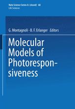Molecular Models Of Photoresponsiveness