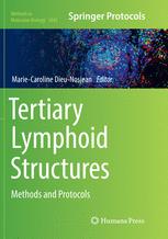 Tertiary Lymphoid Structures