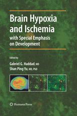 Brain Hypoxia and Ischemia - Gabriel G. Haddad; Shan Ping Yu