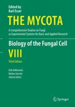 Biology of the Fungal Cell - Dirk Hoffmeister; Markus Gressler