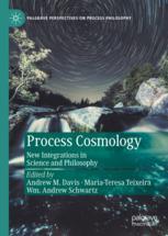 ISBN 9783030813963 product image for Process Cosmology | upcitemdb.com