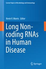 Long Non-coding RNAs in Human Disease - Kevin V. Morris