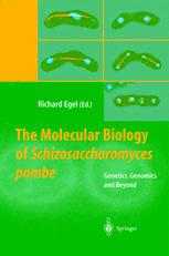 The Molecular Biology of Schizosaccharomyces pombe - Richard Egel
