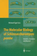 The Molecular Biology of Schizosaccharomyces pombe - Richard Egel