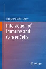 Interaction of Immune and Cancer Cells - Magdalena Klink