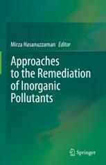 ISBN 9789811562211 product image for Approaches to the Remediation of Inorganic Pollutants | upcitemdb.com