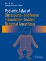 Front cover of Pediatric Atlas of Ultrasound- and Nerve Stimulation-Guided Regional Anesthesia
