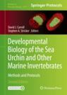 Front cover of Developmental Biology of the Sea Urchin and Other Marine Invertebrates
