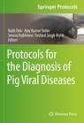 Front cover of Protocols for the Diagnosis of Pig Viral Diseases
