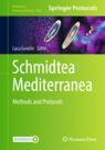 Front cover of Schmidtea Mediterranea
