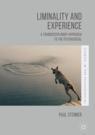 Front cover of Liminality and Experience