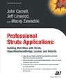 Front cover of Professional Struts Applications