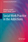 Front cover of Social Work Practice in the Addictions