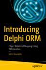 Front cover of Introducing Delphi ORM