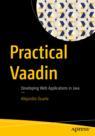 Front cover of Practical Vaadin