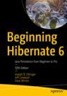 Front cover of Beginning Hibernate 6