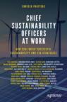 Front cover of Chief Sustainability Officers At Work