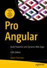 Front cover of Pro Angular