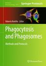 Front cover of Phagocytosis and Phagosomes