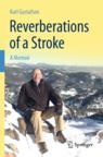 Front cover of Reverberations of a Stroke