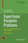 Front cover of Superlinear Parabolic Problems