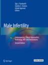 Front cover of Male Infertility