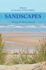 Front cover of Sandscapes