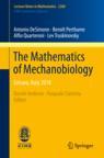 Front cover of The Mathematics of Mechanobiology