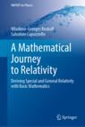 Front cover of A Mathematical Journey to Relativity