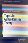Front cover of Topics in Gallai-Ramsey Theory