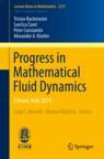 Front cover of Progress in Mathematical Fluid Dynamics
