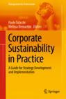 Front cover of Corporate Sustainability in Practice