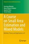 Front cover of A Course on Small Area Estimation and Mixed Models