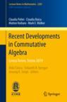 Front cover of Recent Developments in Commutative Algebra